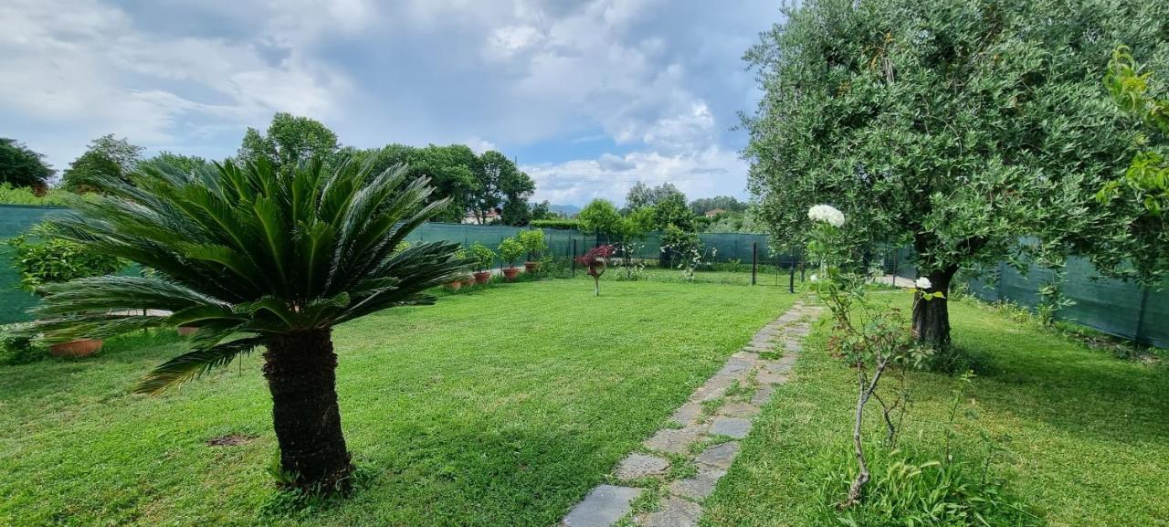 Casa Marcobando Villa Lucca Luaran gambar